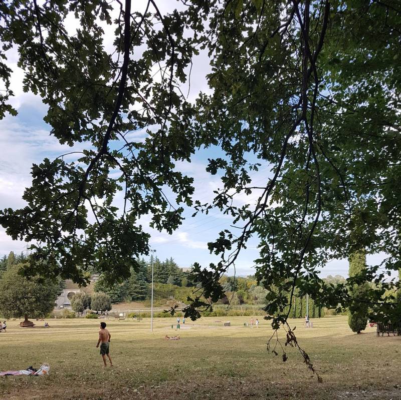 Fotosegnalazione di Paderno dugnano