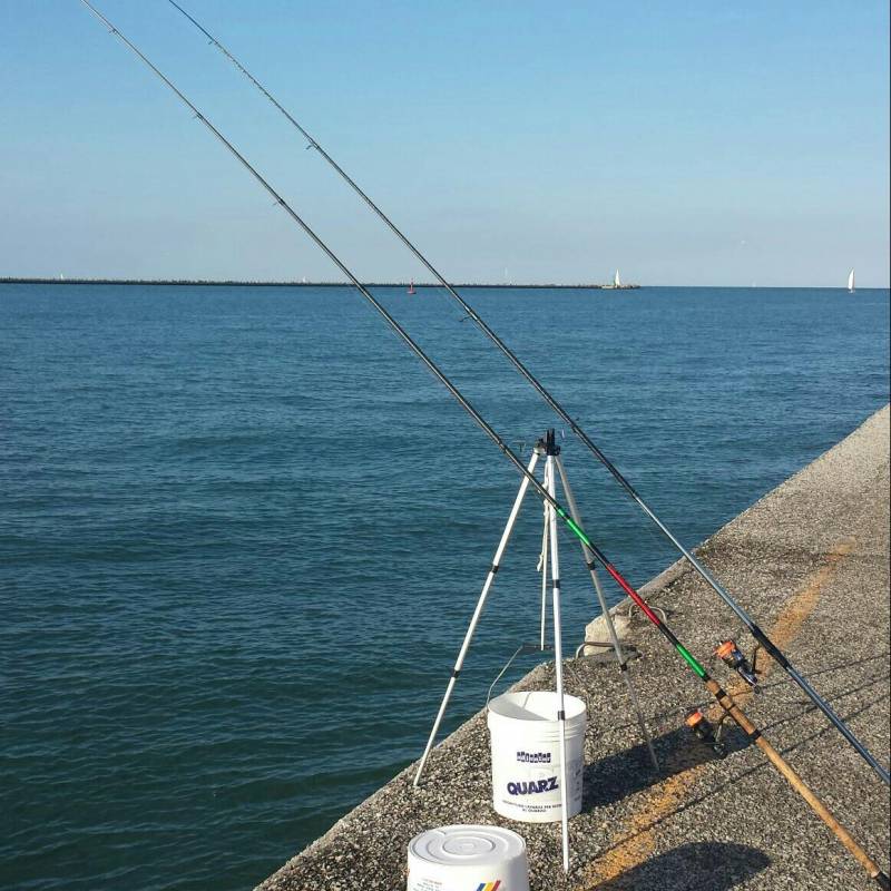 Fotosegnalazione di Marina di ravenna