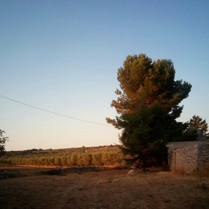 Zona torre mascoli 360 m. s.l.m.