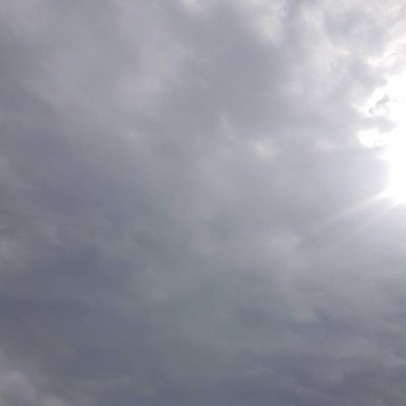 Fotosegnalazione di Bisceglie