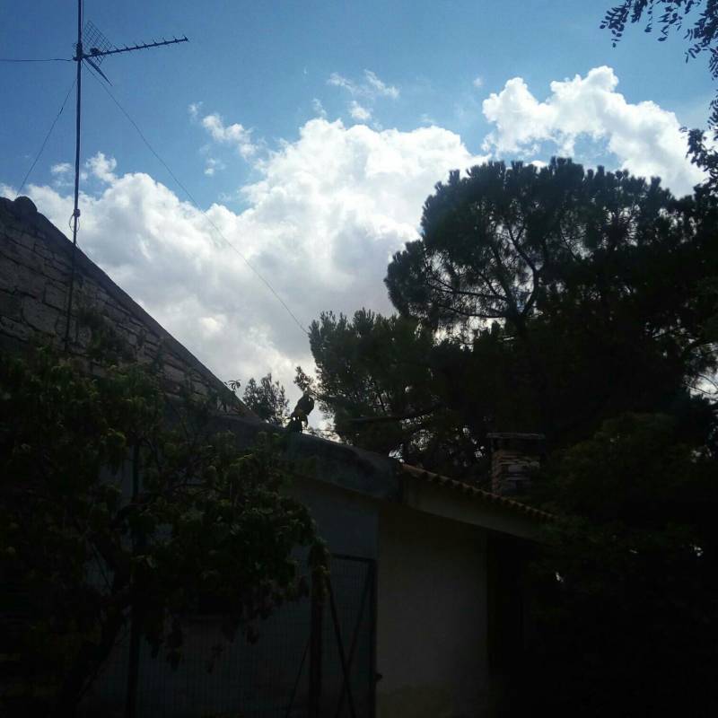 Localita' torre mascoli 360 m. s.l.m.