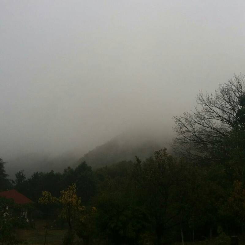 Nebbia da autunno 