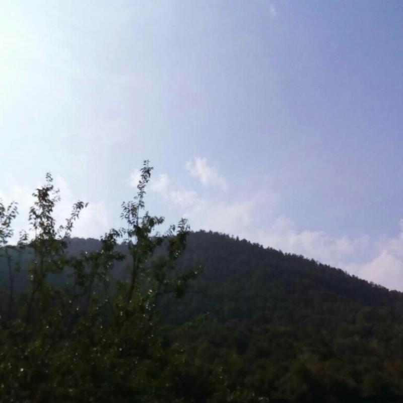 Fotosegnalazione di Sassello