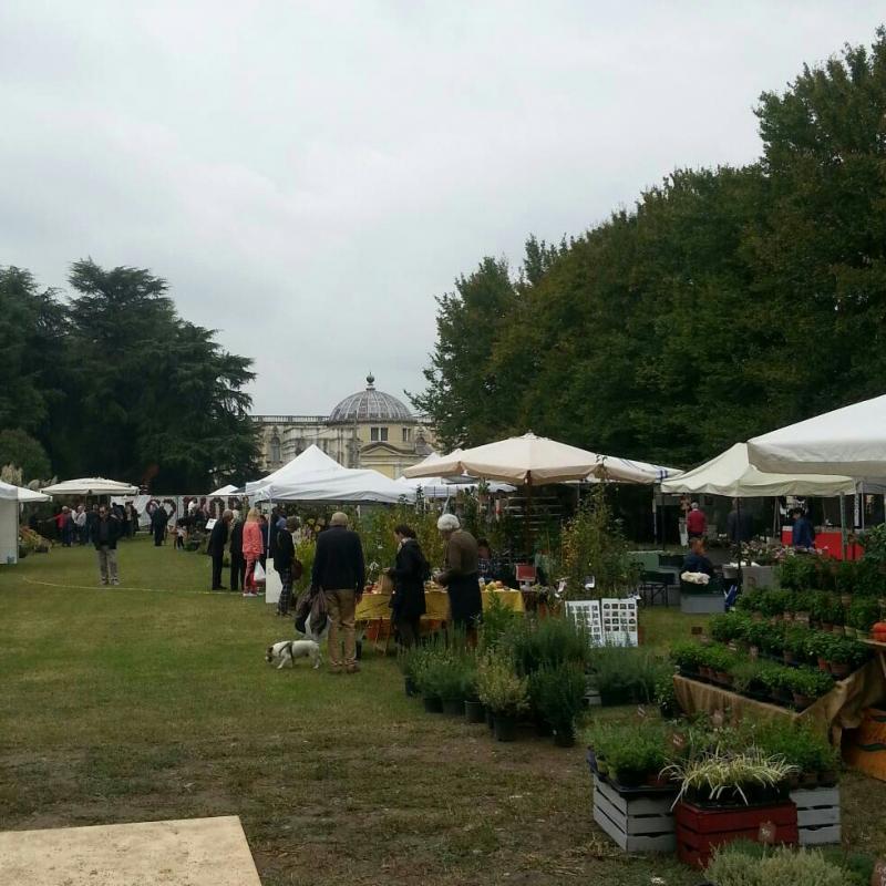 Fotosegnalazione di Piazzola sul brenta