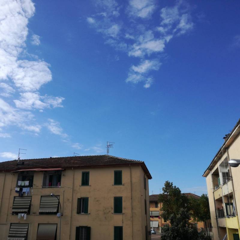 Fotosegnalazione di Pontecorvo