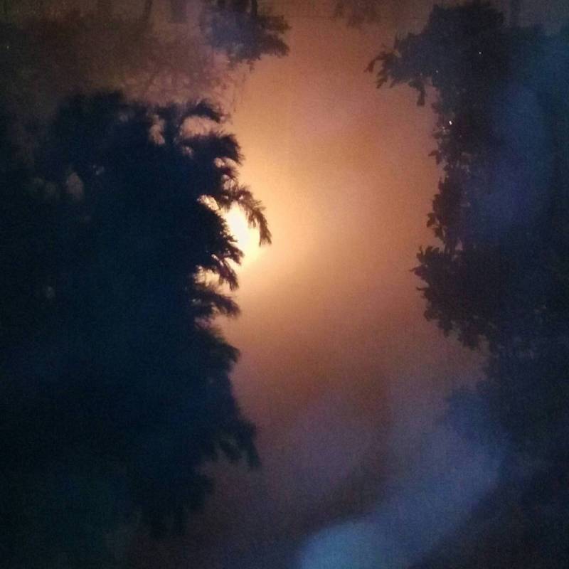 Nebbia mattutina14102017