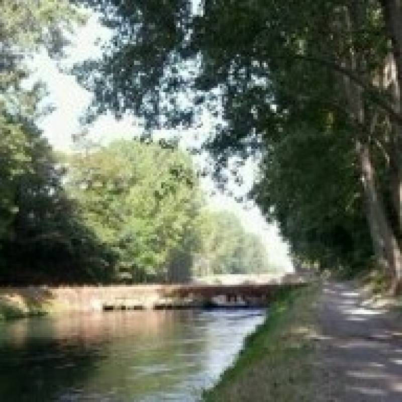 Canale vacchelli