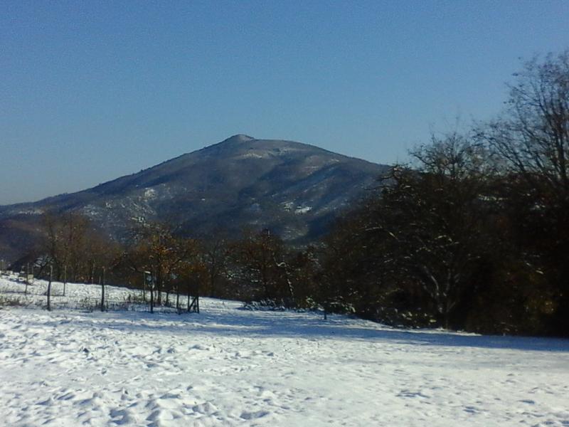 Monte Colma