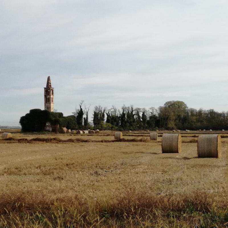 Chiesa tra le risaie