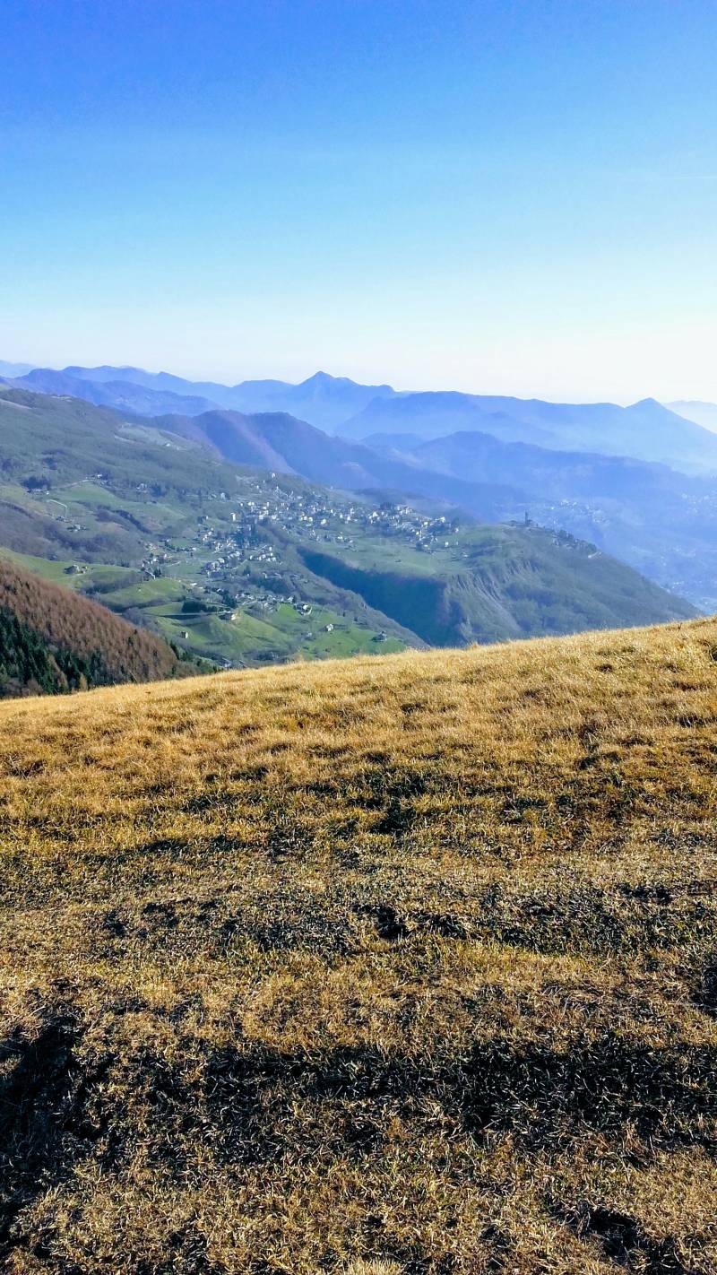 Panoramica fuipiano dalla costa del palio