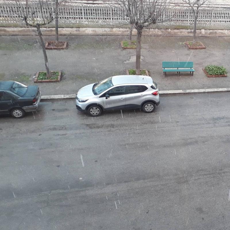 Fotosegnalazione di Molfetta