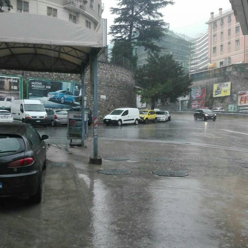 Fotosegnalazione di Genova sturla