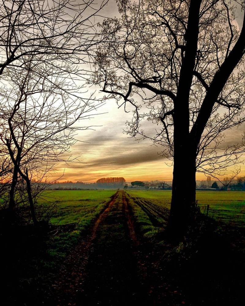 Campagna dell'altomilanese
