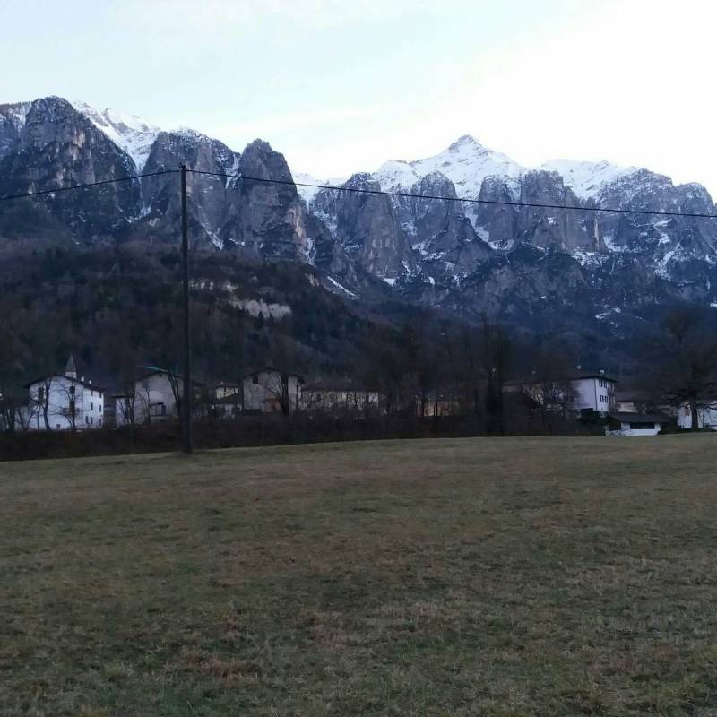 Cima dodici