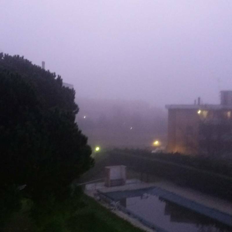 Liscate nebbia
