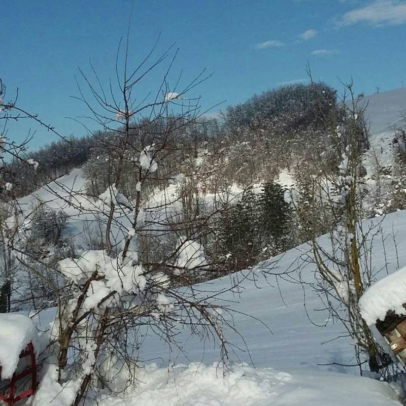 Fotosegnalazione di Pavullo nel frignano