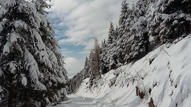 Neve sul Col Visentin