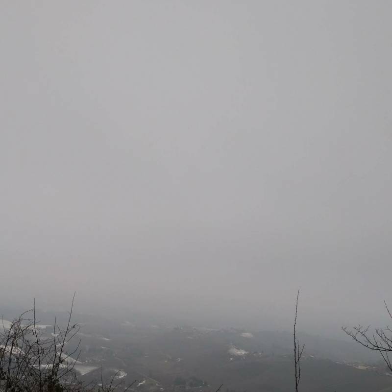 10 febbraio. nebbia