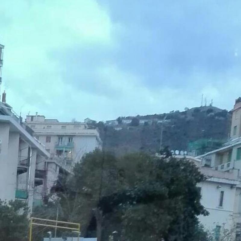 Fotosegnalazione di Genova sturla