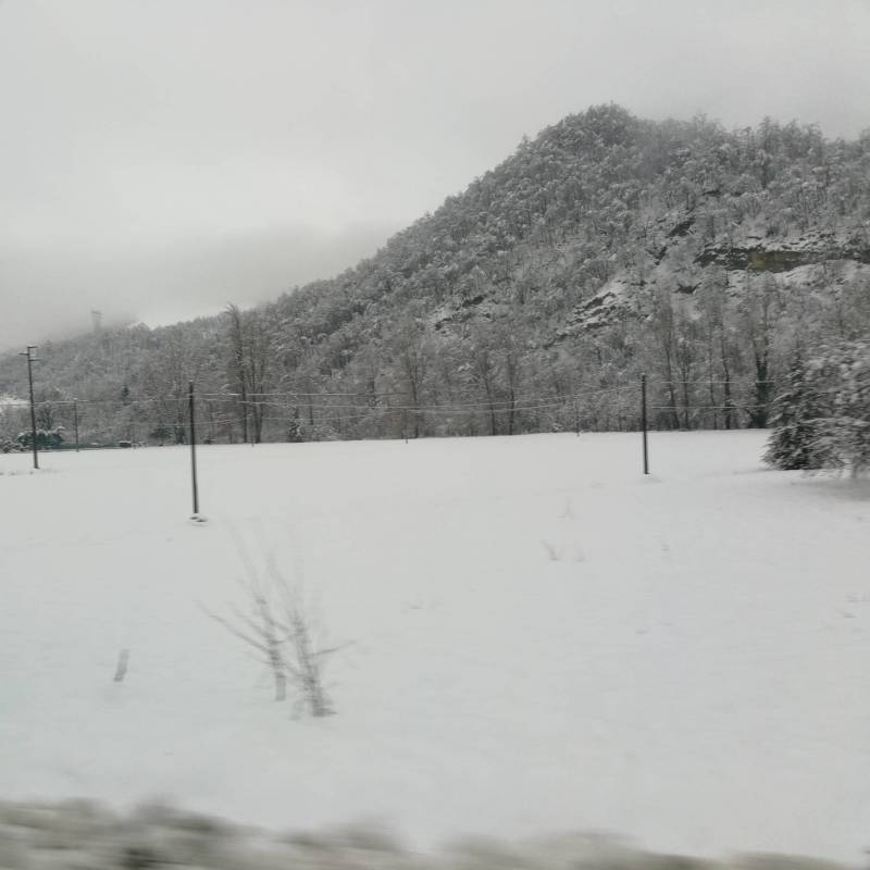 Neve a monterenzio