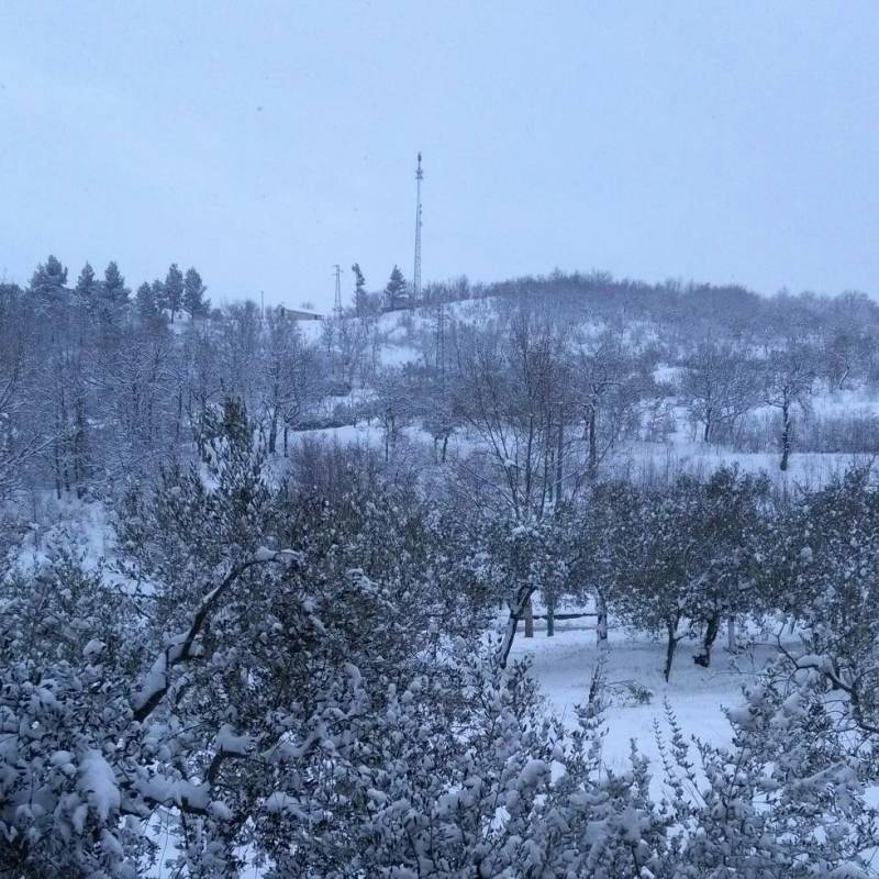 Fotosegnalazione di Roccabascerana
