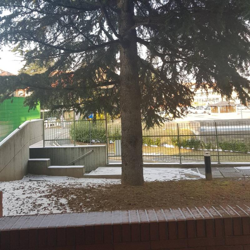 Fotosegnalazione di Rivoli