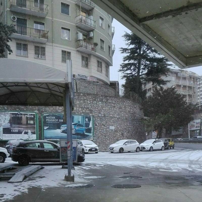 Fotosegnalazione di Genova sturla