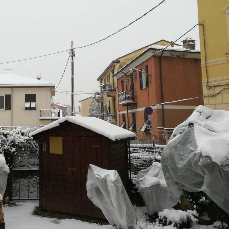 Fotosegnalazione di La spezia