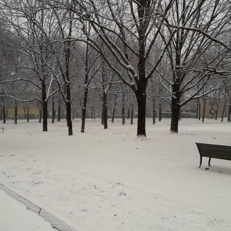 Fotosegnalazione di Brescia