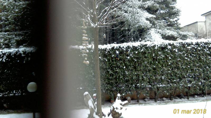 Neve nel giardino