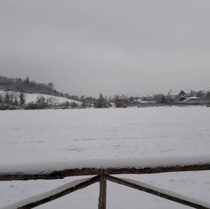 Fotosegnalazione di Riolo terme