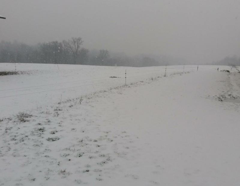 Nevicata tardiva presso az agr la rondine