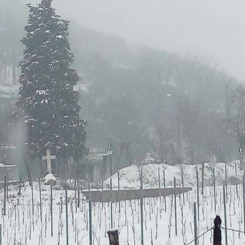 Verona nevica 0