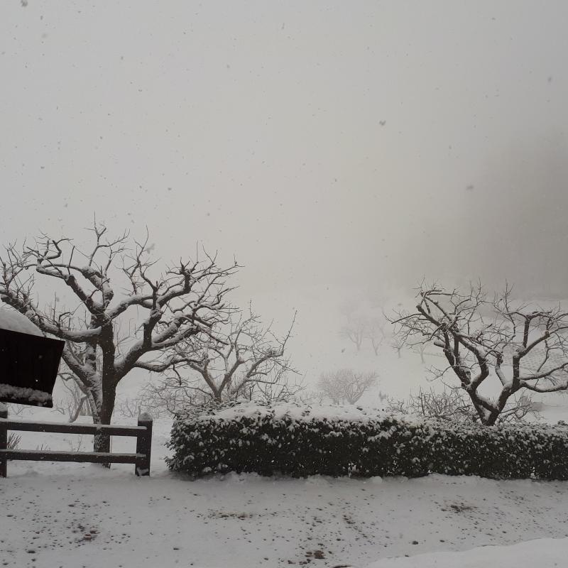 Castiglione torinese sotto la neve