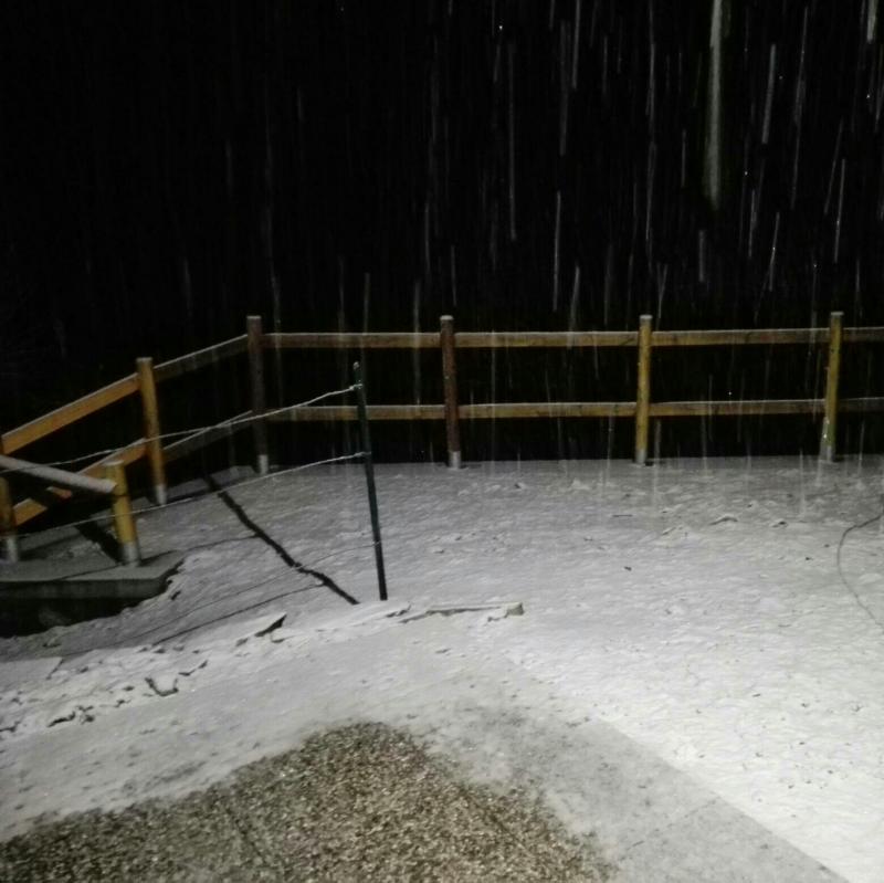 Fotosegnalazione di Gravedona