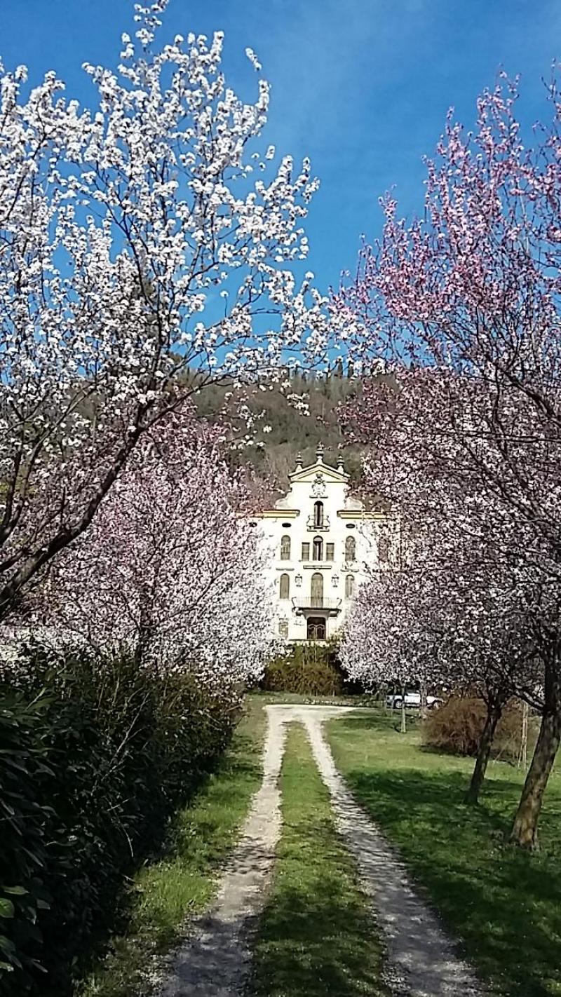 Villa Papadopoli