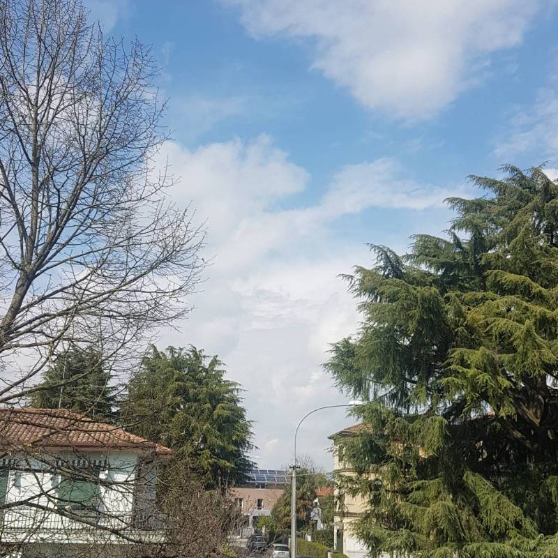 Fotosegnalazione di Mogliano veneto