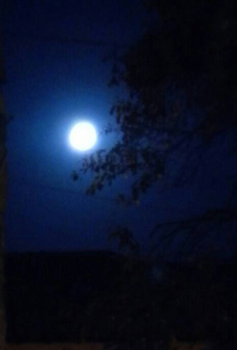 Notte con luna piena