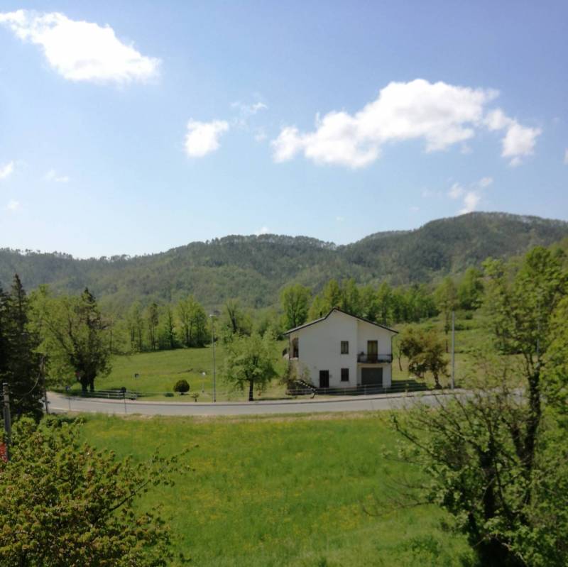 Fotosegnalazione di Sesta godano