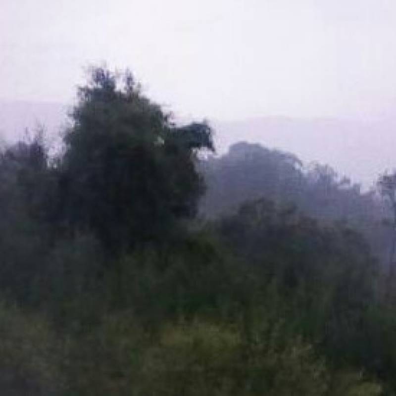 Fotosegnalazione di Castel madama