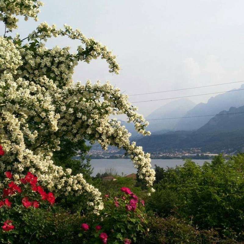 Vista sul lago di garlate