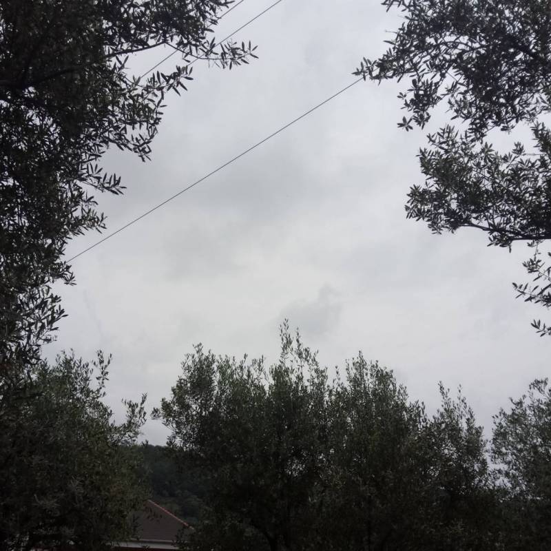 Fotosegnalazione di Albisola superiore