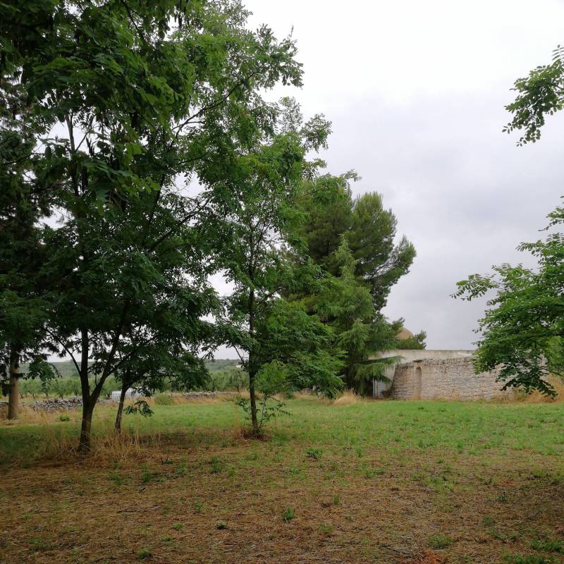 Estate no autunno
