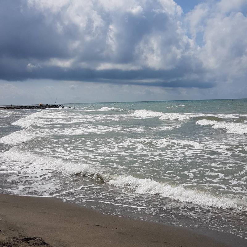 Fotosegnalazione di Fiumicino