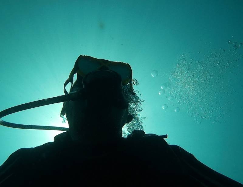 Immersione a veracruz arrecife