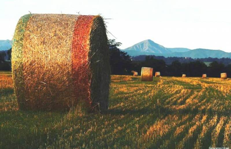 Balle di paglia e sfondo monte tobbio
