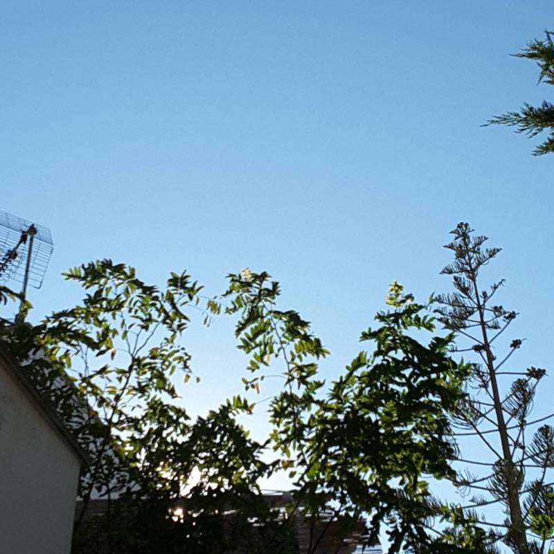 Cielo soleggiato a otranto- selva del turchese