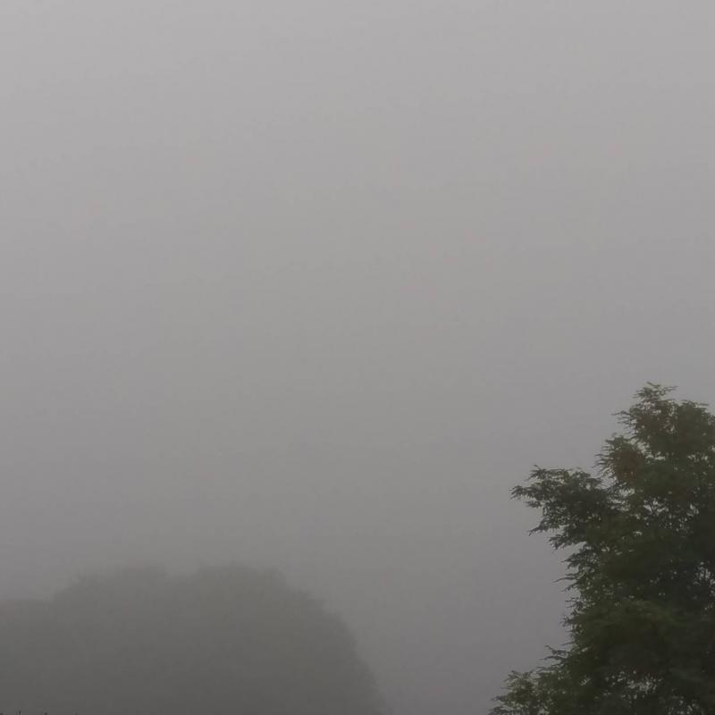 Nebbia di luglio