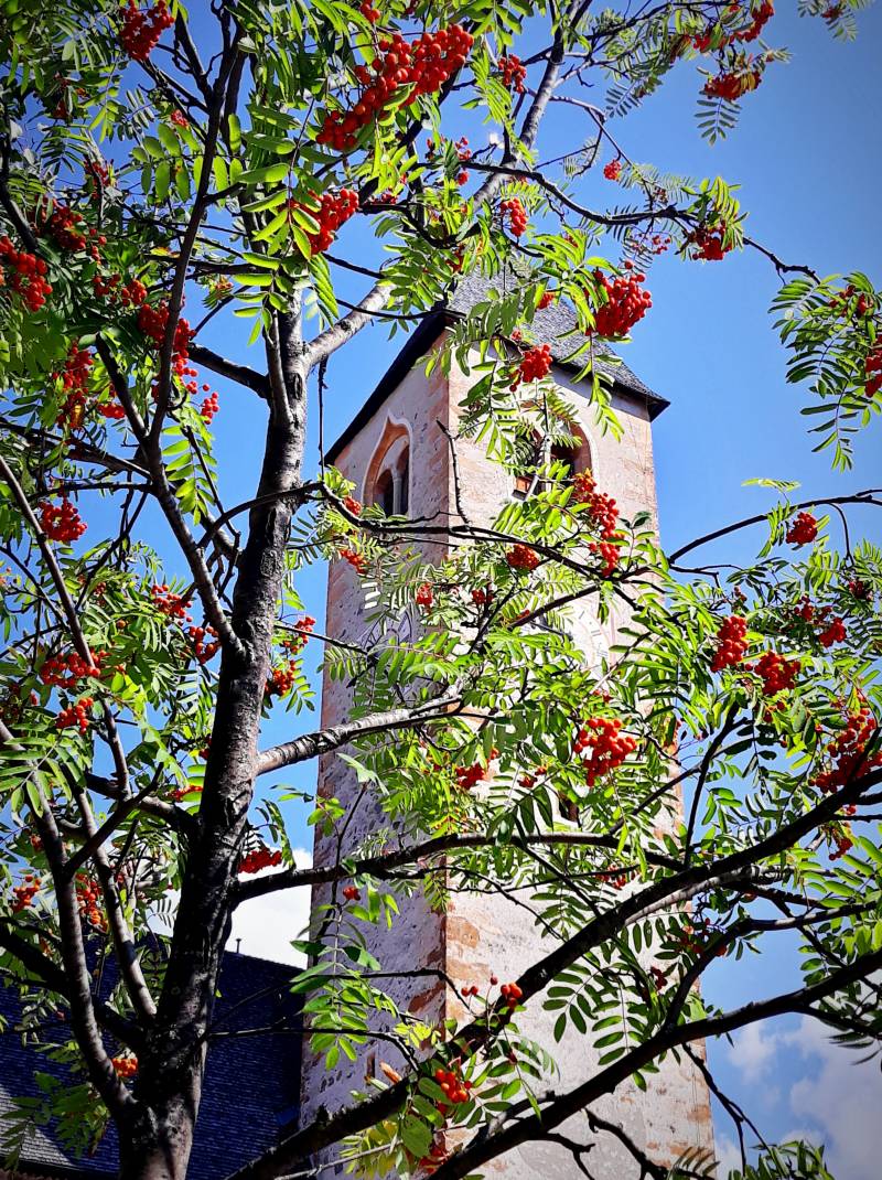 Il campanile di valle s. silvestro