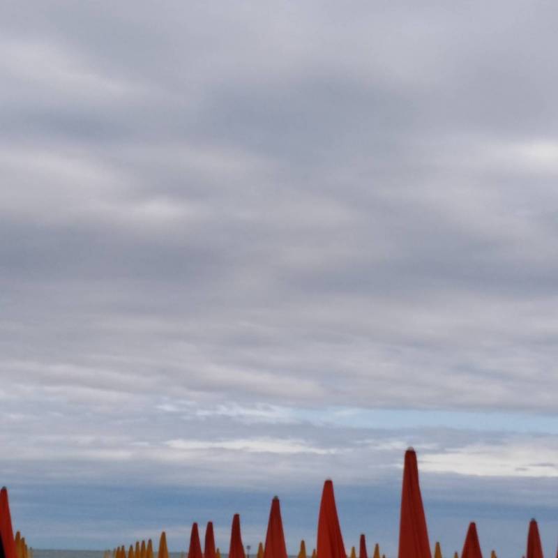 Fotosegnalazione di Lignano pineta